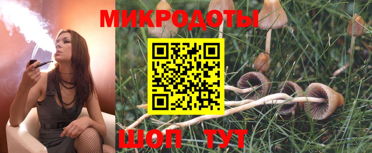 Галлюциногенные грибы GOLDEN TEACHER  Вход с VPN  даркнет сайт  Псилоцибиновые грибы мухоморы  Елабуга 